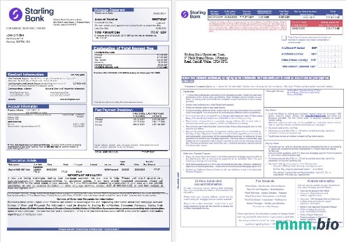 Wielka Brytania Starling Bank wyciąg z kredytu hipotecznego w formatach Word i PDF, 3 strony
